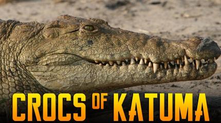 Crocs Of Katuma on Animal Planet English