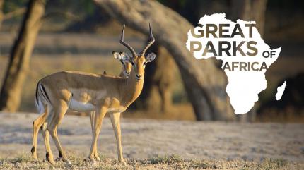 Great Parks Of Africa Episode 4 on Animal Planet English