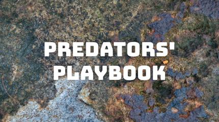 Predators Playbook on Animal Planet Hindi