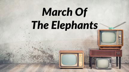 March of the Elephants on Animal Planet Hindi