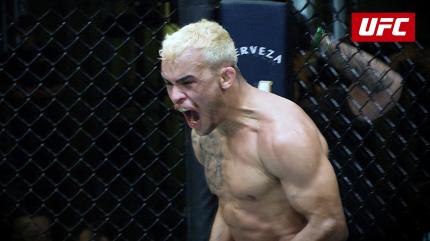 UFC: Ultimate Knockouts on Sony Ten 1