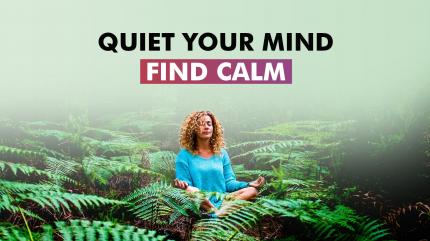 Quiet Your Mind Find Calm on Manage Stress