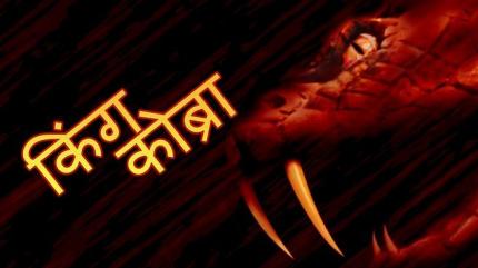 King Cobra - Hindi on Lionsgate Play - past program
