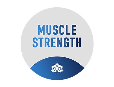 Yoga For Strong Abs on Muscle Strength - past program
