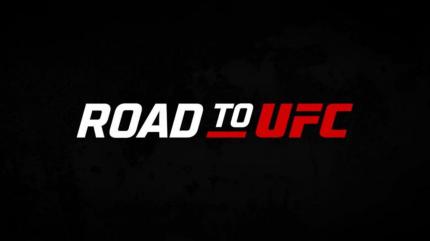 Road To UFC on Sony Ten 3 HD Hindi - future program