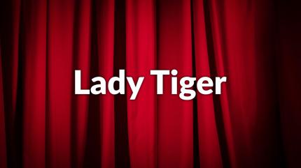 Lady Tiger on Colors Kannada Cinema - past program