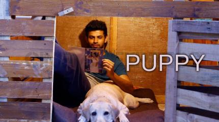 Puppy on Zee Thirai HD - past program