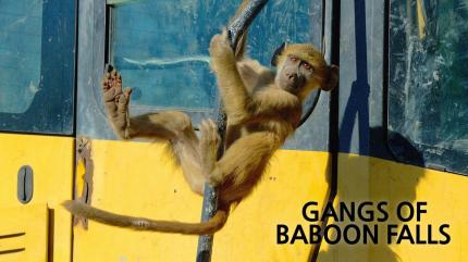 The Zoo on Animal Planet HD Tamil - past program