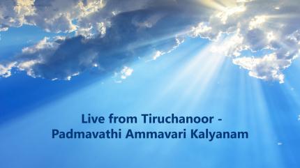 Live from Tiruchanoor - Padmavathi Ammavari Kalyanam on SVBC4 - past program
