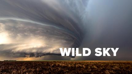 Wild Sky Episode 4 on Animal Planet English - past program