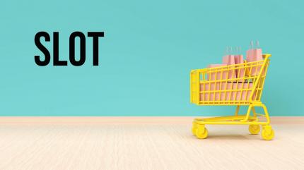 Slot on Raj Digital Plus - past program