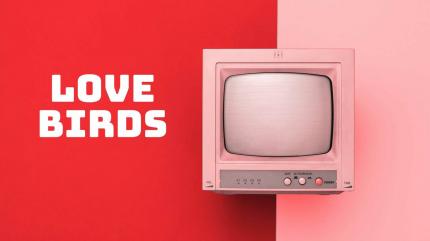 Love Birds on Public Music - future program
