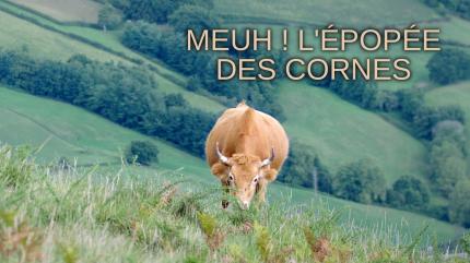 Meuh ! L'épopée des cornes on TV5 Monde - past program