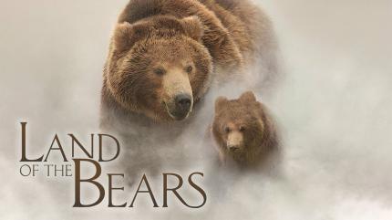 Land of the Bears on MN+ HD - past program