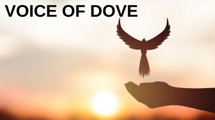 Voice of Dove Episode 1579 on Shubhsandesh TV - past program