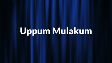 Uppum Mulakum Episode 333 on Flower TV - past program