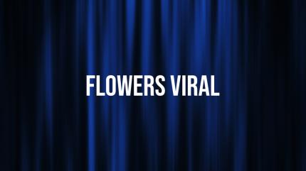 Flowers Viral Episode 16 on Flower TV - past program