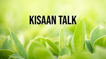 Kisaan Talk on Krishi Pitaara - past program