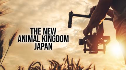 Animal Kingdom: Japan Episode 1 on Animal Planet HD Tamil - past program