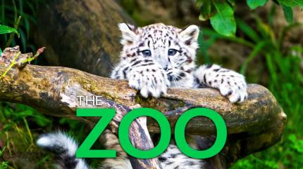 The Zoo on Animal Planet HD Tamil - past program