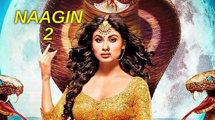 Naagin 2 on Rishtey - past program
