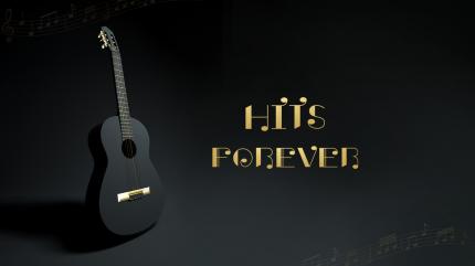 Hits Forever on Shemaroo Bollywood - past program