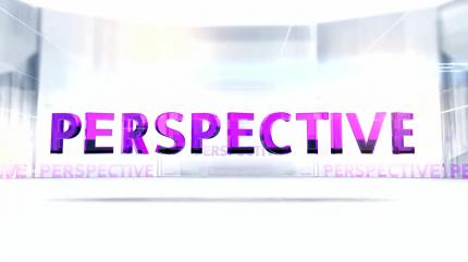 Perspective on Sansad TV - past program
