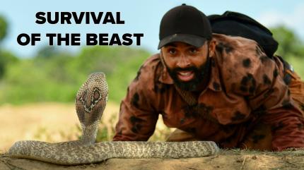 Survival of the Beast Episode 4 on Animal Planet Hindi - past program