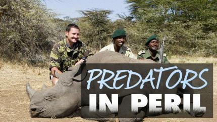 Predators in Peril on Animal Planet Hindi - past program