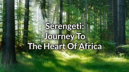 Serengeti: Journey To The Heart Of Africa on Animal Planet Hindi - past program