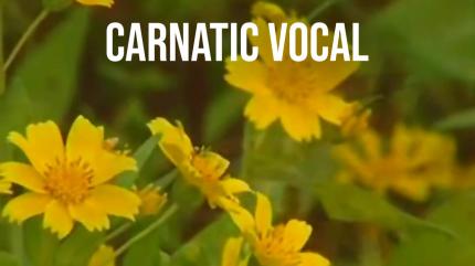 Carnatic Vocal on DD bharati - past program