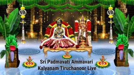 Sri Padmavati Ammavari Kalyanam Tiruchanoor Live Live on Sri Venkateshwar Bhakti - past program