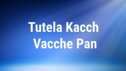 Tutela Kacch Vacche Pan on DD Girnar - past program