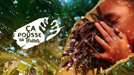 Ça pousse au Fenua on TV5 Monde - past program