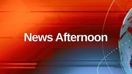 News Afternoon on News Malayalam - past program