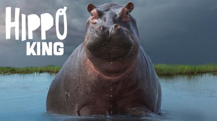 Animal Planet HD Tamil on Animal Planet HD Tamil - past program