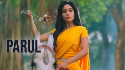 Vasudha Episode 255 on Zee TV - past program