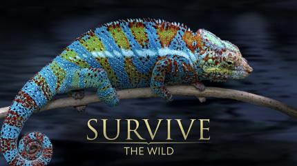 Survive the Wild Episode 1 on Animal Planet Telugu - past program