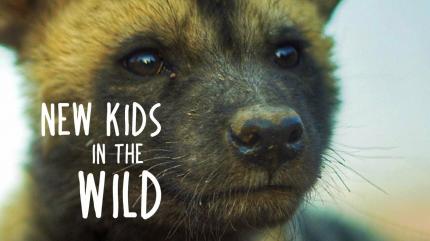 New Kids in the Wild Episode 2 on Animal Planet Telugu - future program