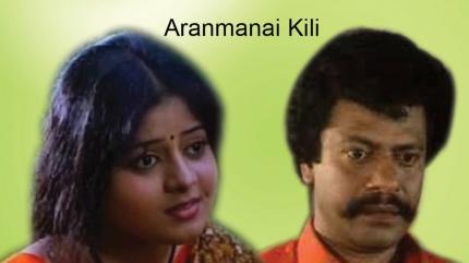 Aranmanai Kili on Colors Tamil HD - past program