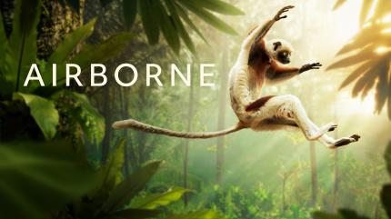 Airborne Episode 2 on Animal Planet English - future program