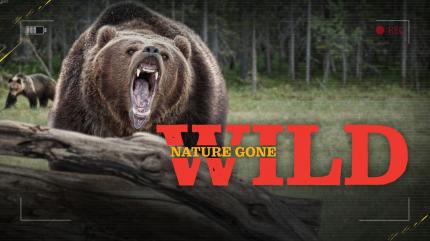 Nature Gone Wild Episode 8 on History TV18 HD Telugu - past program