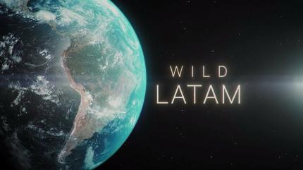 Wild Latam on Animal Planet Hindi - past program