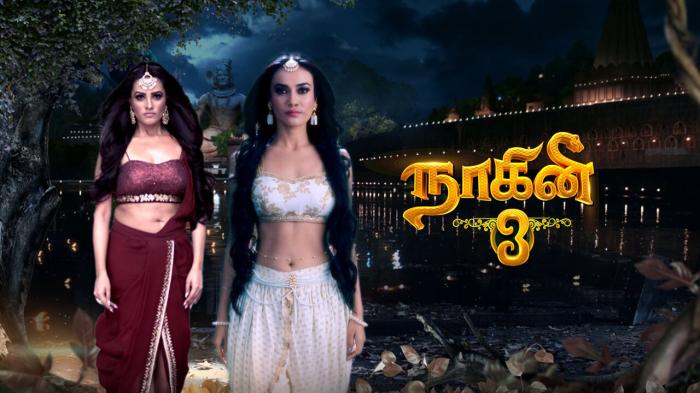 Naagini 3 - 22nd May 2019 - நாகினி 3 - Full Episode - YouTube