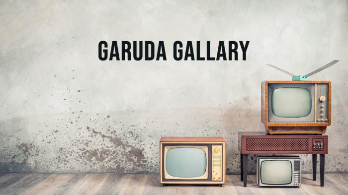 Garuda Gallary on JioTV