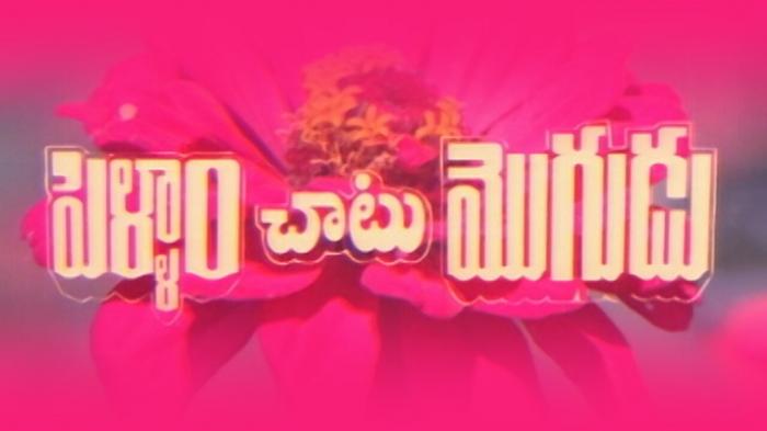 Pellam Chatu Mogudu on JioTV