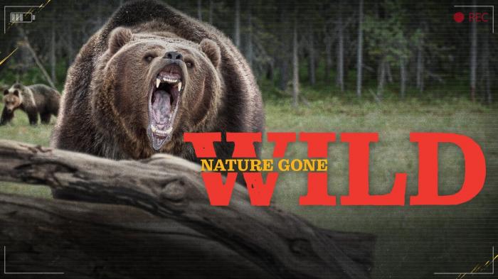 Nature Gone Wild Episode No.6 on JioTV