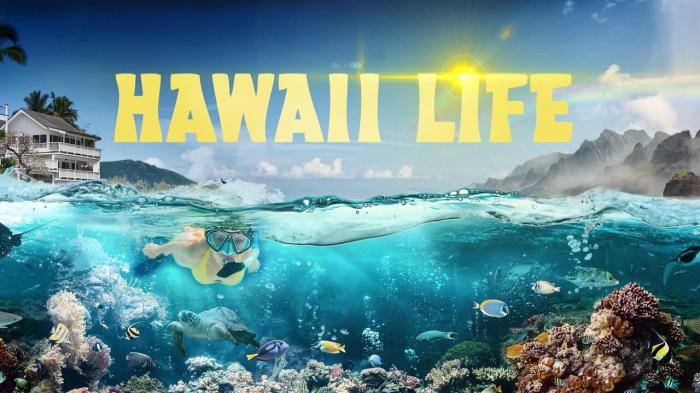 Hawaii Life Episode No.1 on JioTV