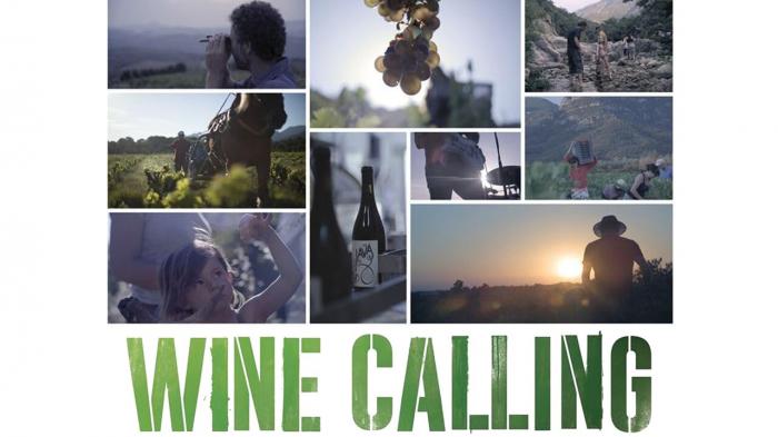 Wine Calling on JioTV