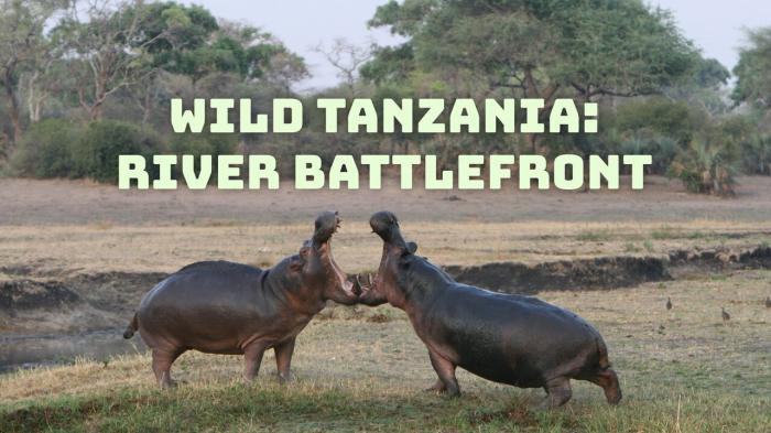 Wild Tanzania: River Battlefront on JioTV